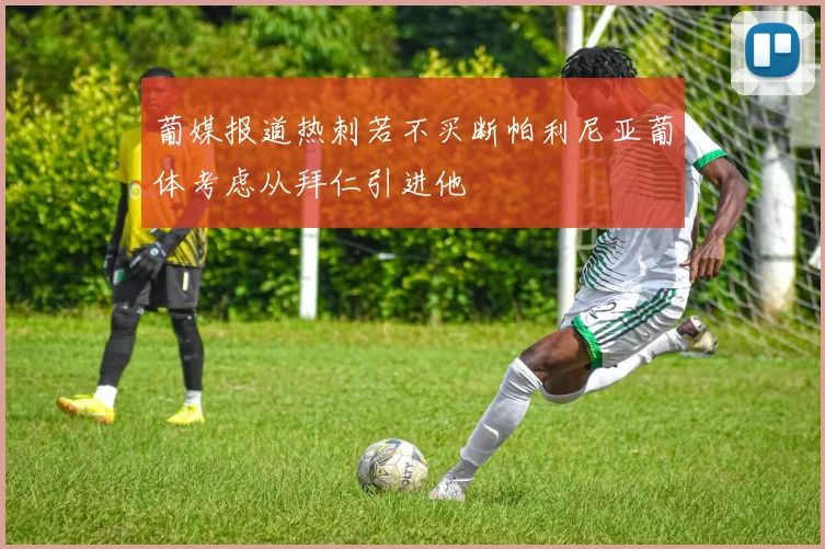 葡媒报道热刺若不买断帕利尼亚葡体考虑从拜仁引进他